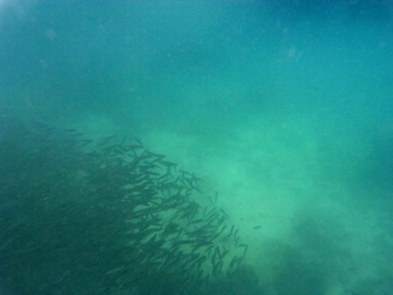 2016_0602_211554_003r