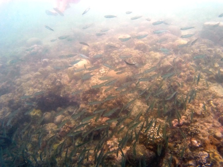 2016_0602_212503_001r