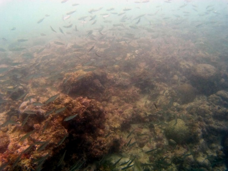 2016_0602_212509_003r