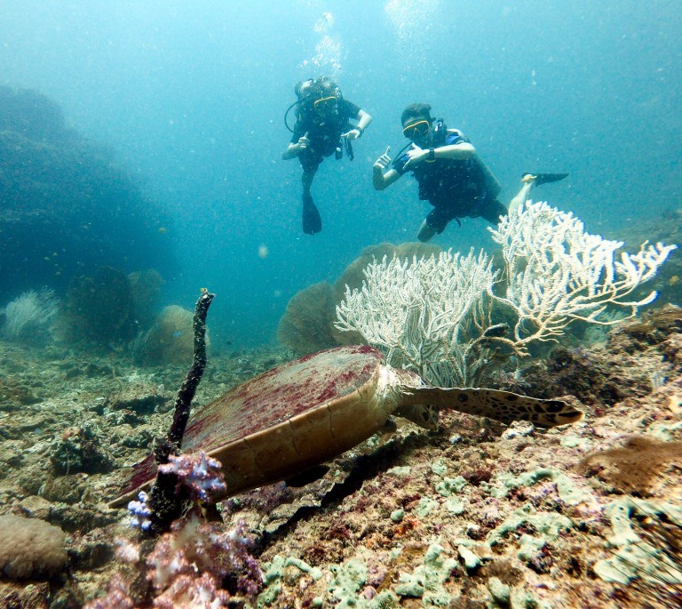DCIM100GOPROGOPR0733.JPG
