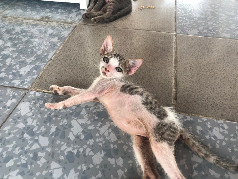 kUZSZrggS+eM1QQ4RrpNIg