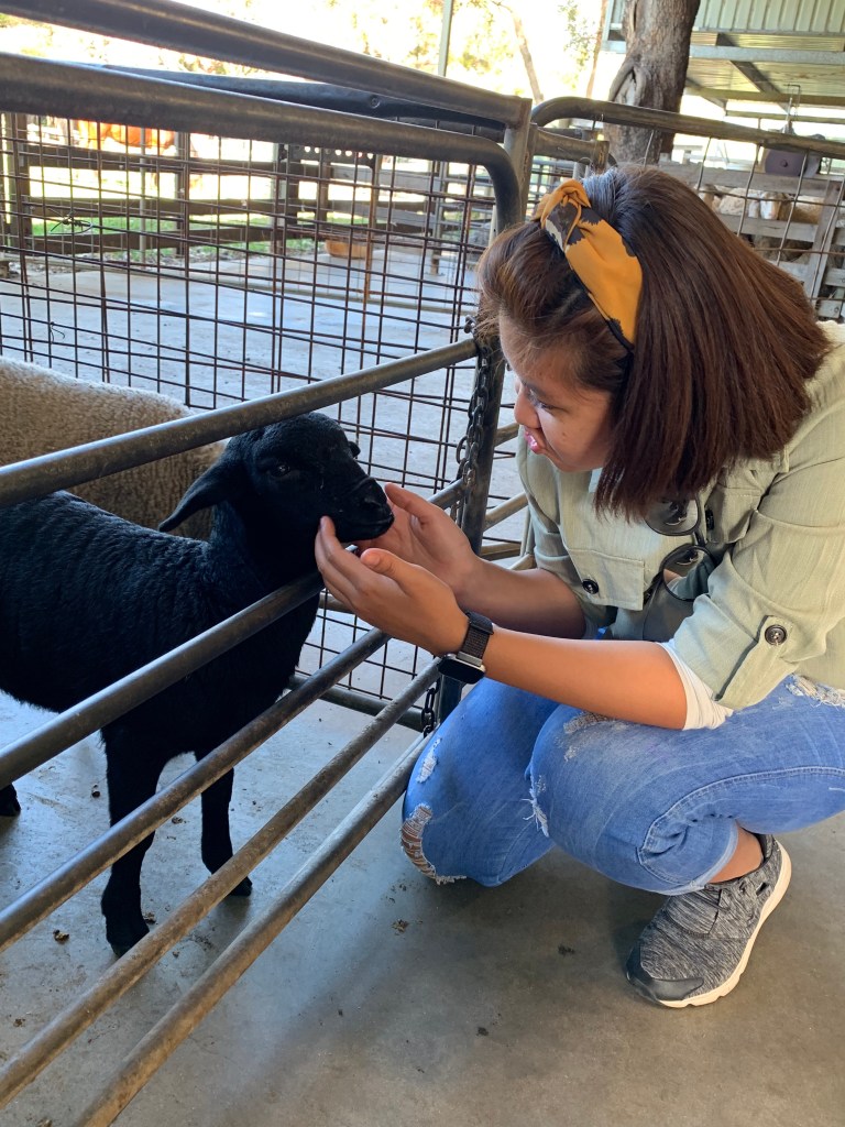 LdzT2b9tT0Sx8yfsBWCOFw