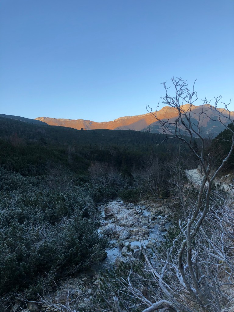 AlvDo7f7RQWdyC7UaTiScg