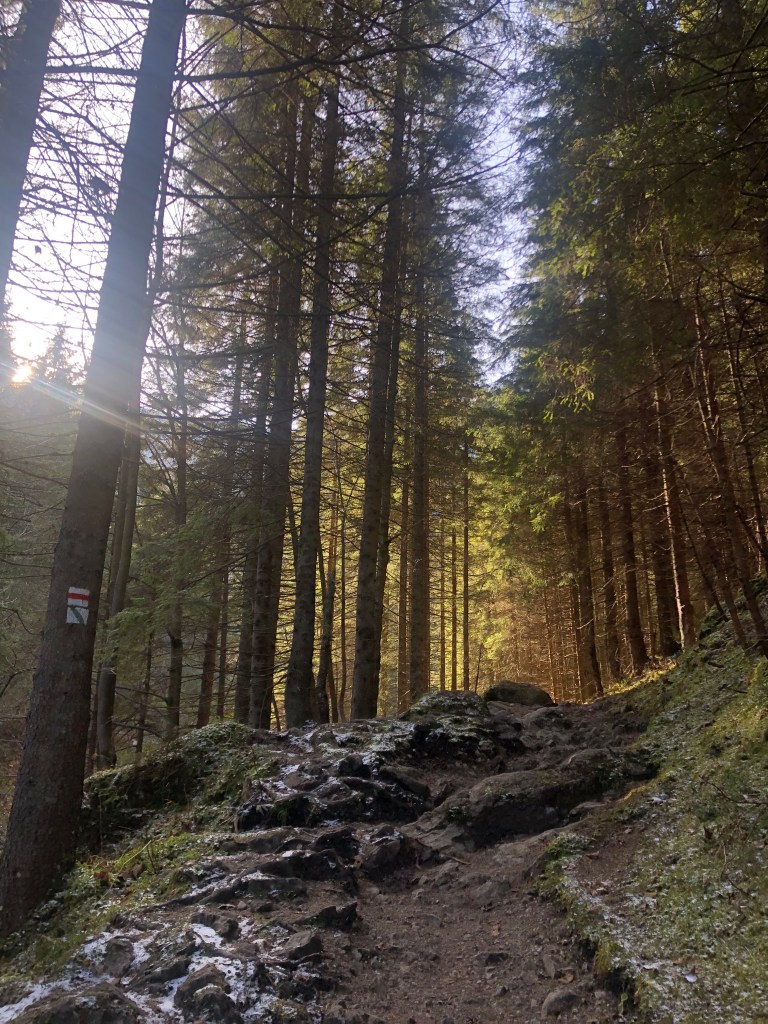 BpRybBdhTv+qO1a+qX2Z8Q