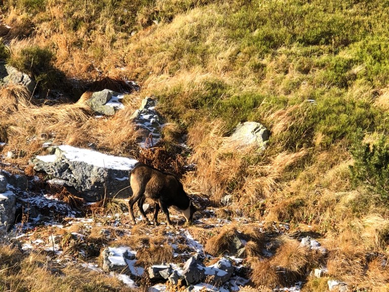 COzCNngQS0KnjHuxw%blcw