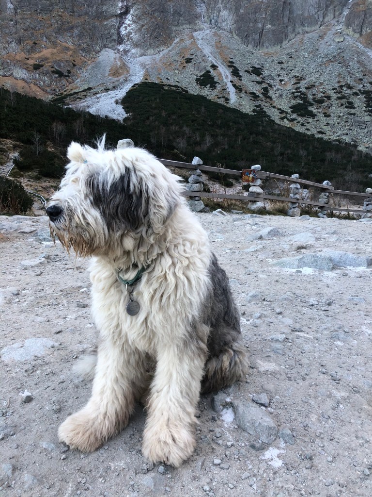 qKS8x6tXRBWVU75ZObFaWw